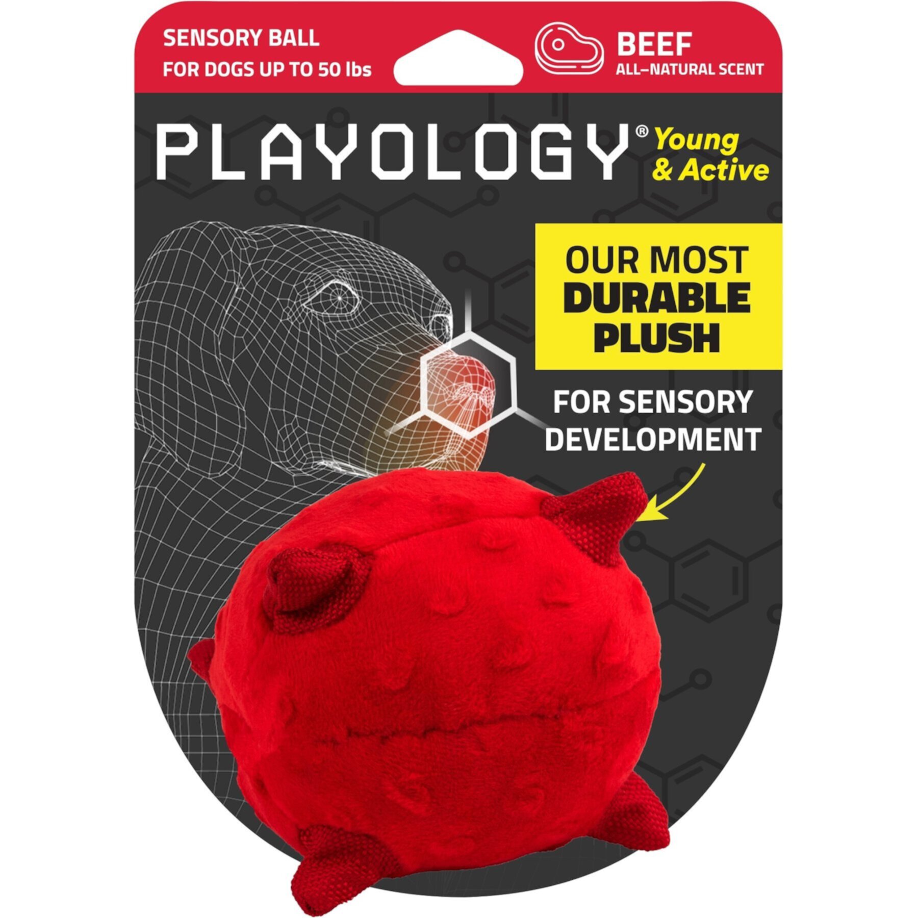 Playology Young & Active Sensory Ball Beef Dog Toy Playology