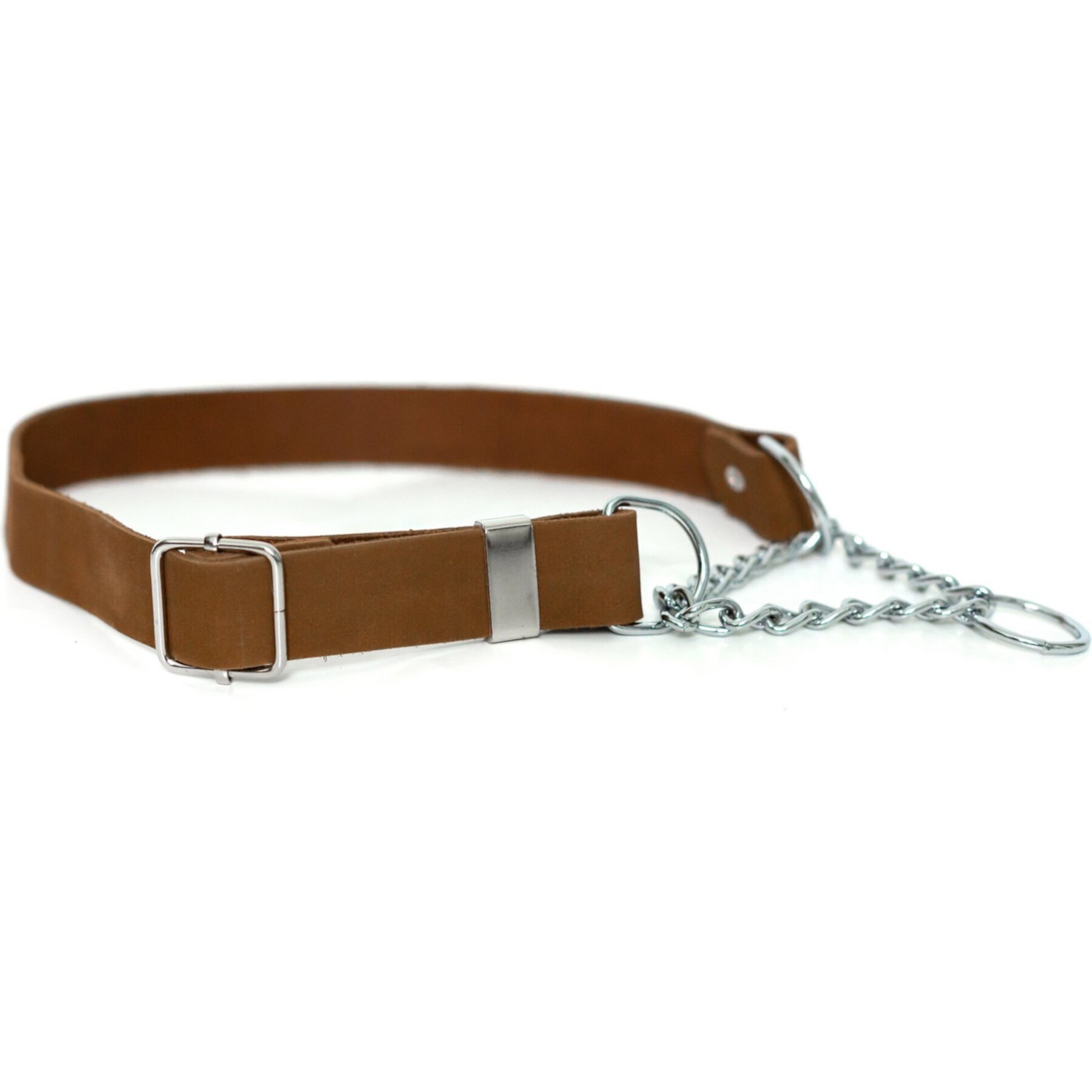 Euro-Dog Modern Leather Martingale Dog Collar Euro-Dog