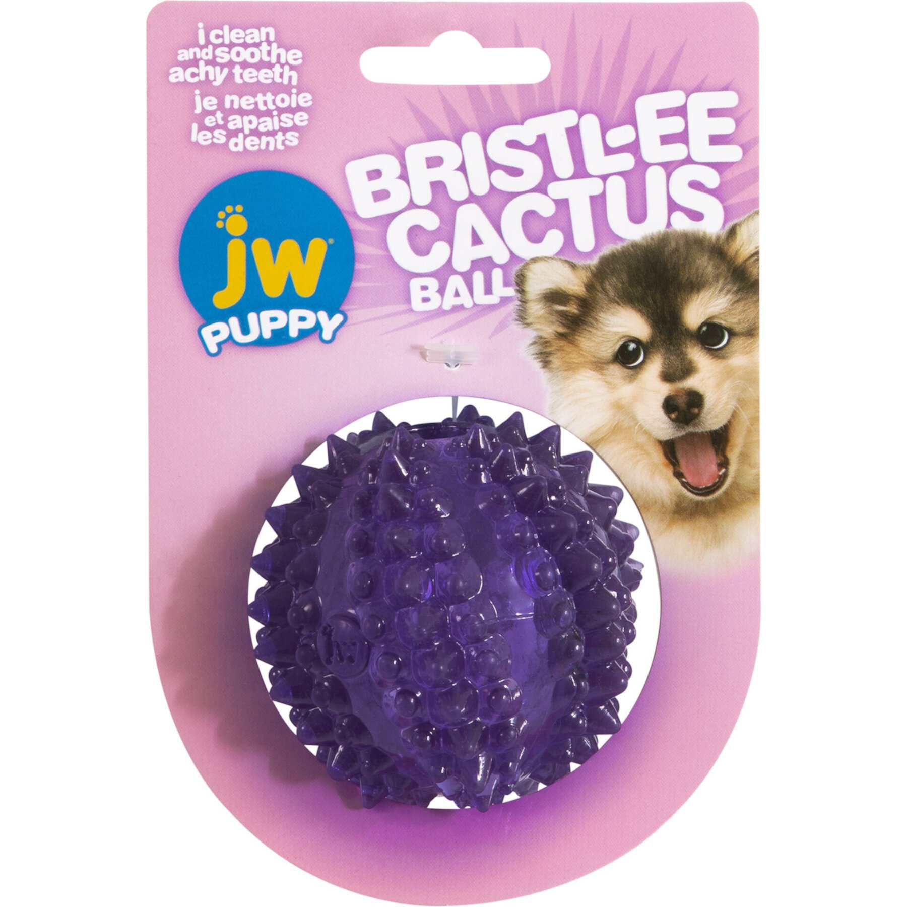 JW Pet Bristly Cactus Ball Dog Toy, Purple JW Pet