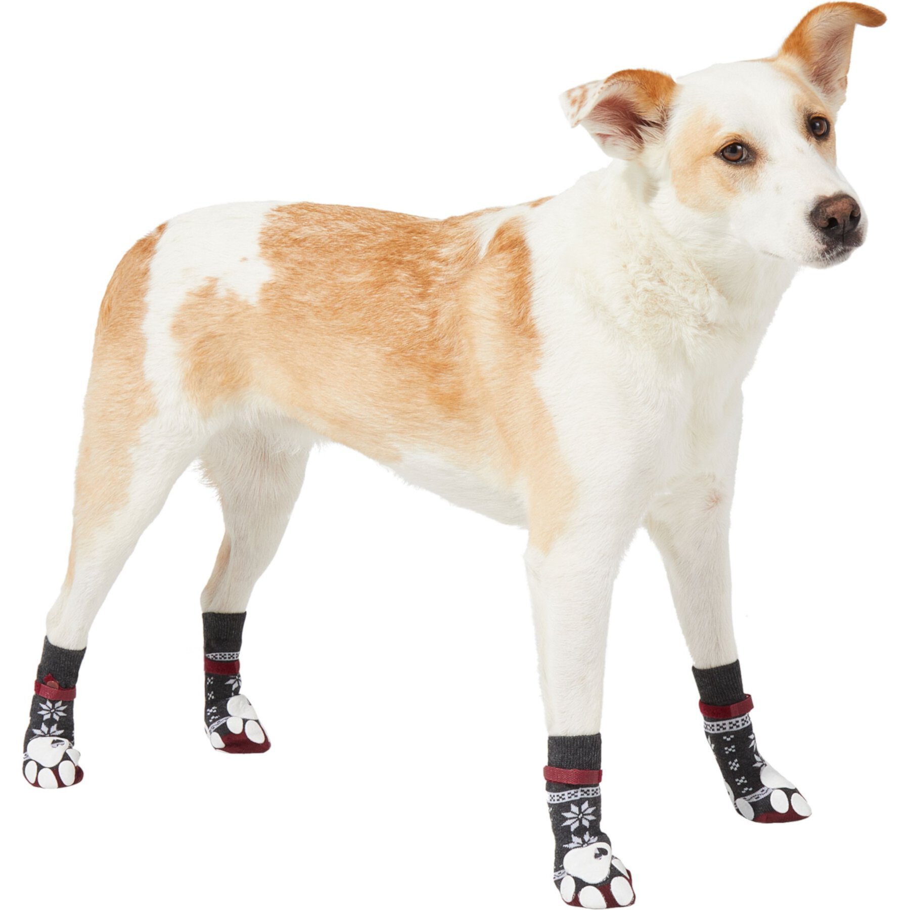 Frisco Non-Skid Non-Skid Fair Isle Dog Socks Frisco