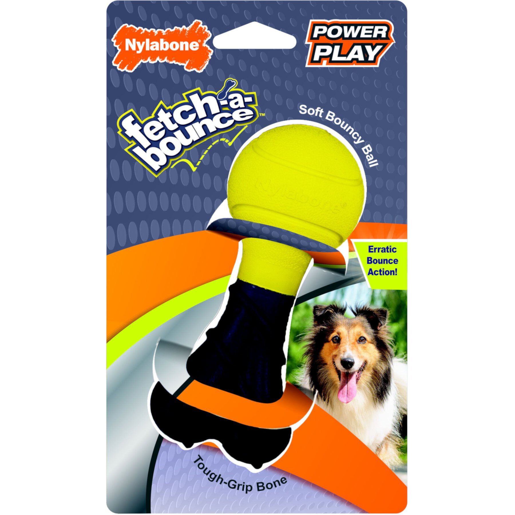 Nylabone Power Play Rubber Fetch-a-Bounce Dog Toy Nylabone