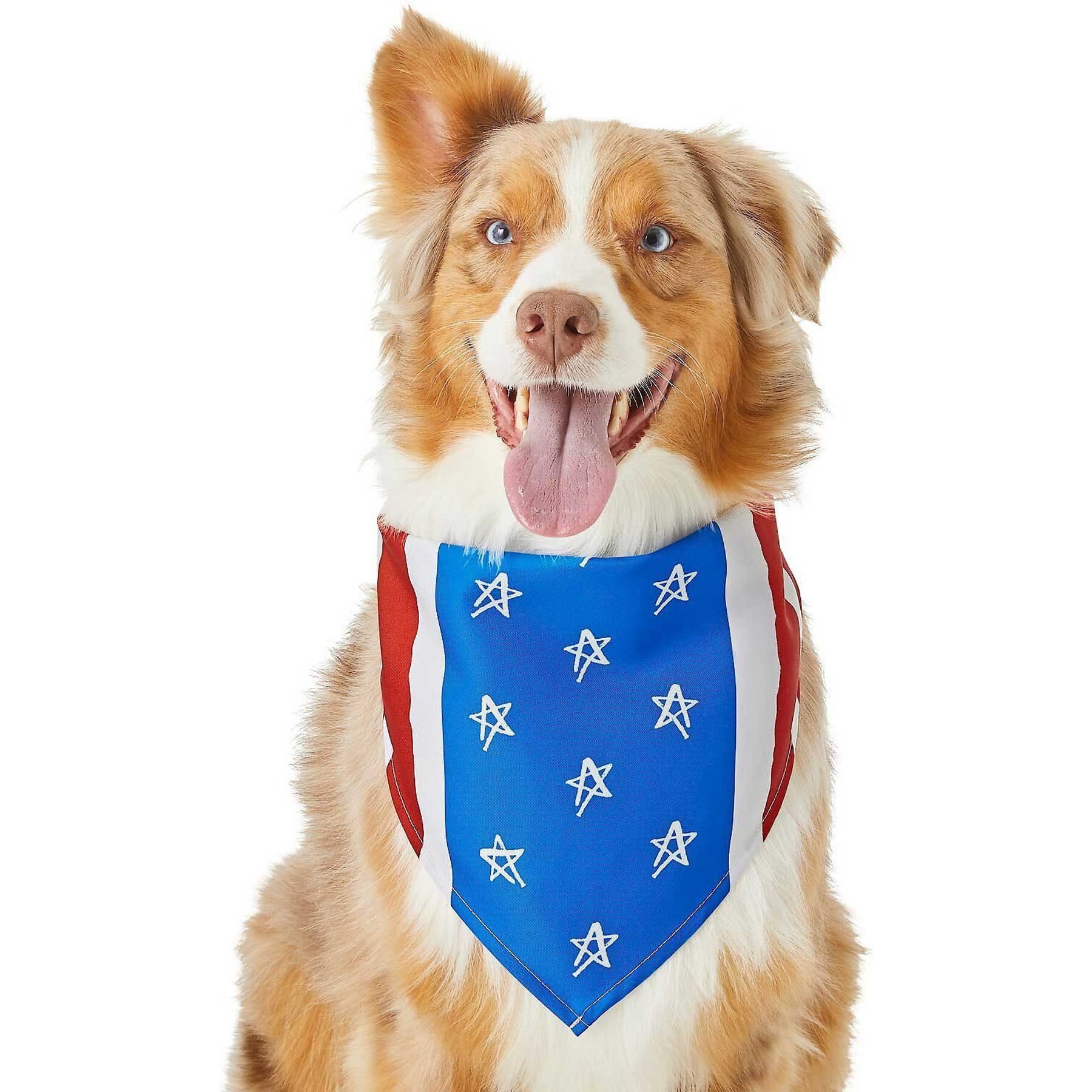 Frisco Stars & Stripes Dog & Cat Bandana Frisco