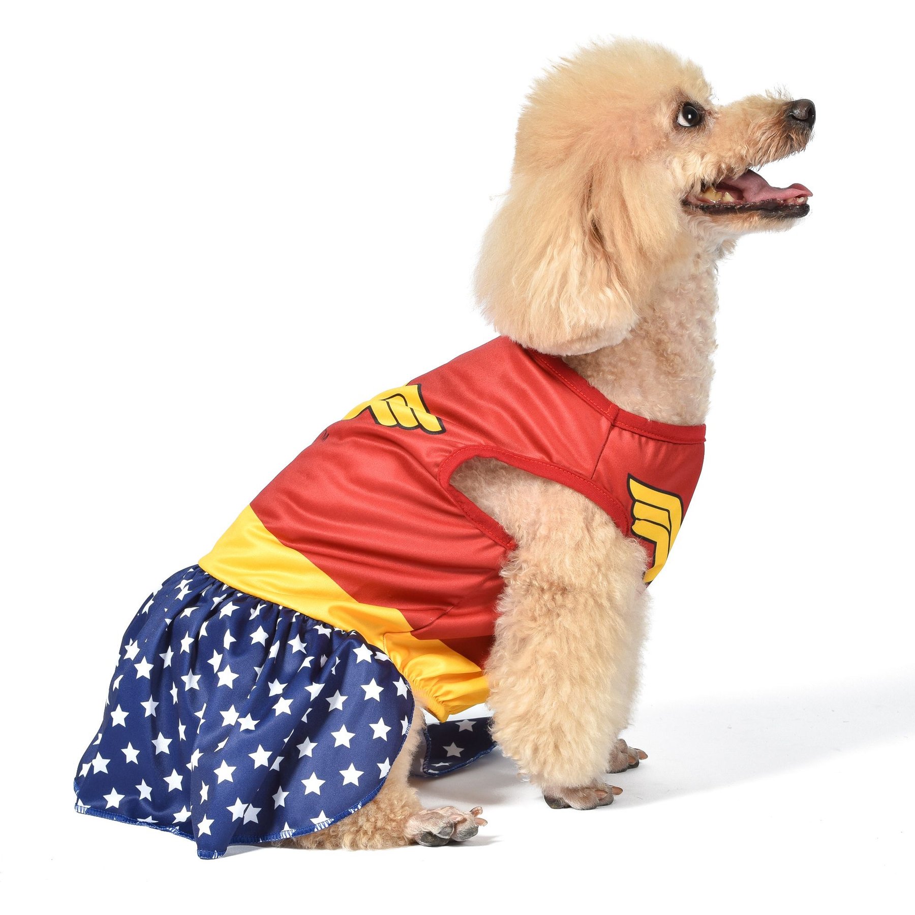 Fetch For Pets DC Comics Wonderwoman Halloween Dog Costume fetch FOR PETS