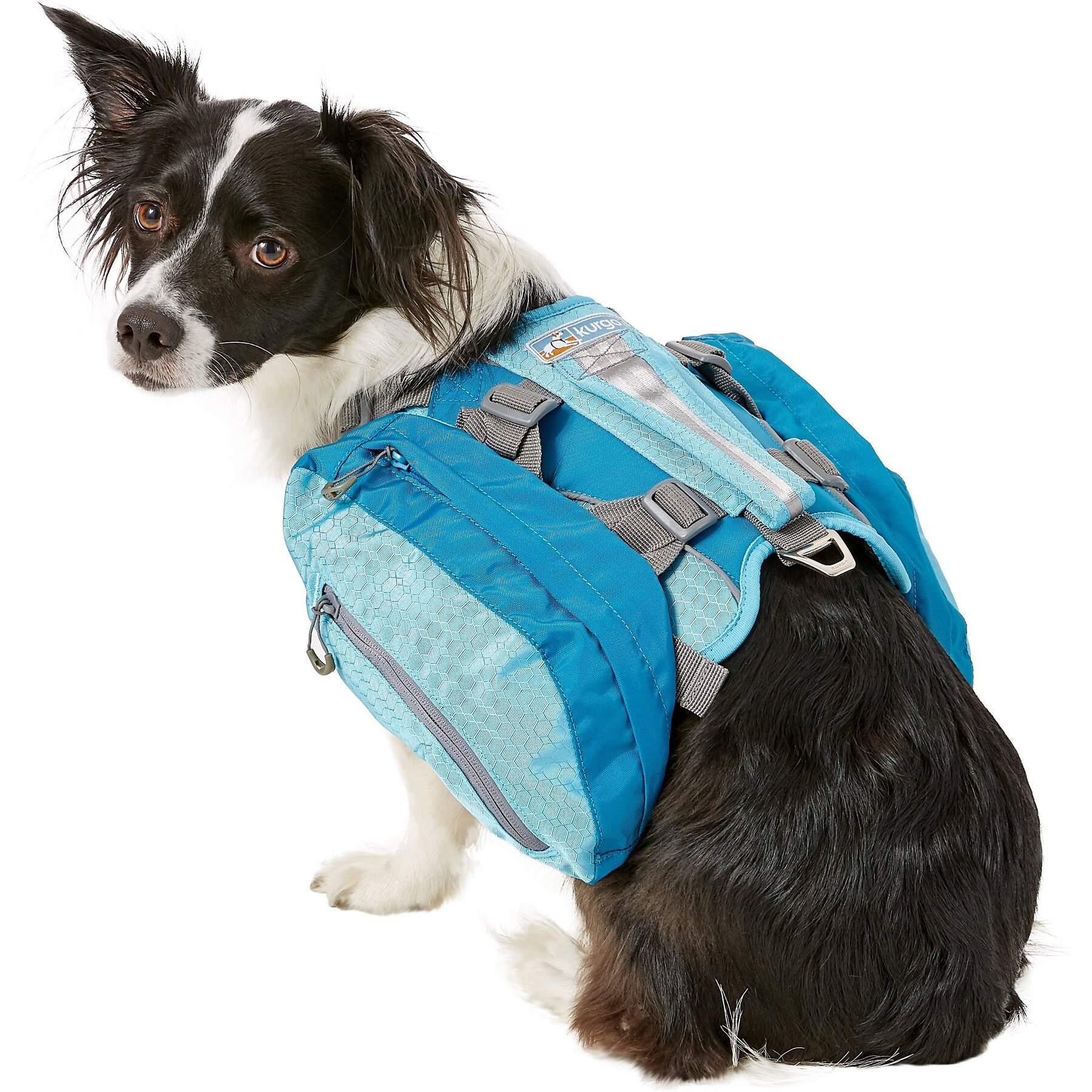 Kurgo Baxter Dog Backpack Kurgo