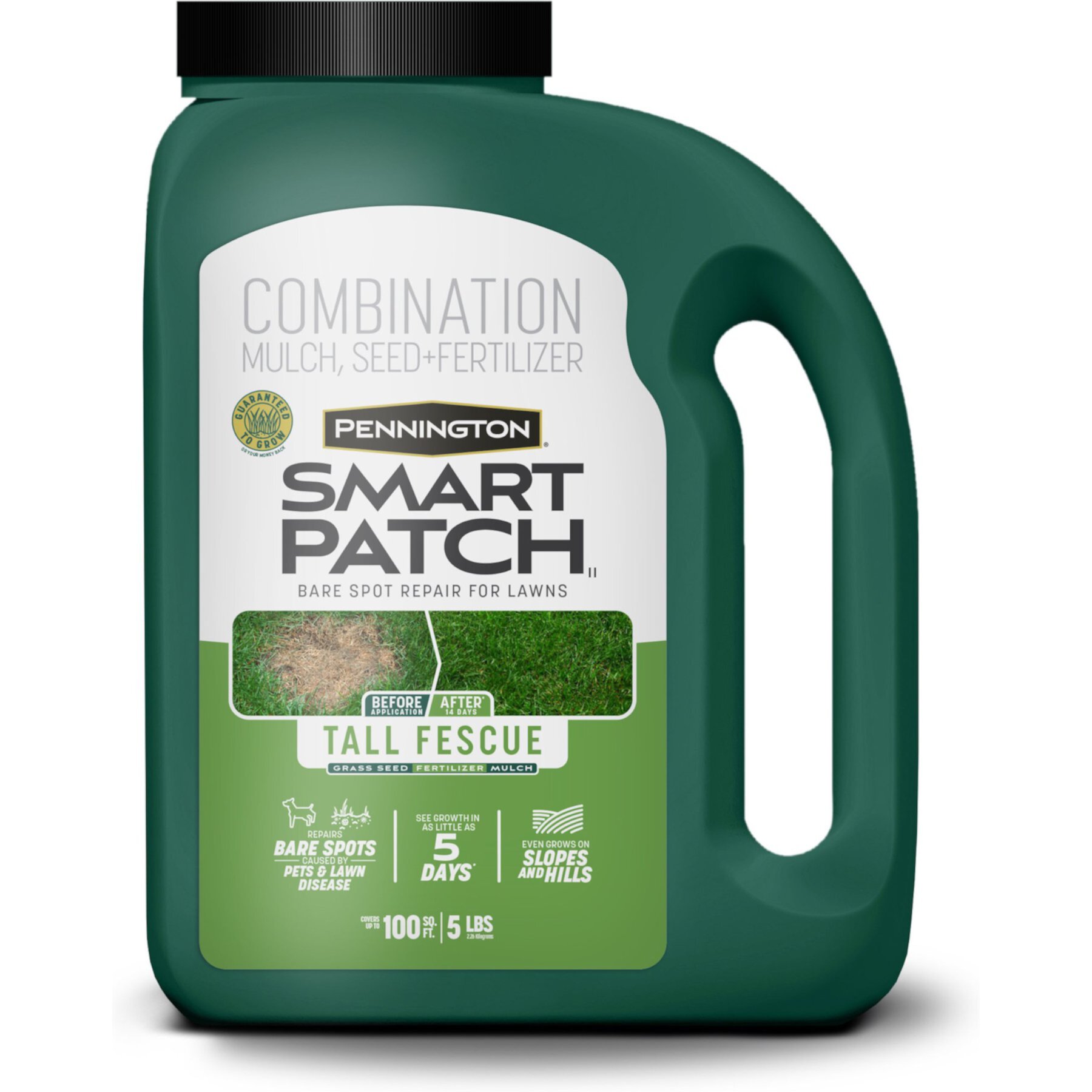 Pennington Smart Patch Tall Fescue Mix Dog Lawn-Treatment & Grass Saver Pennington