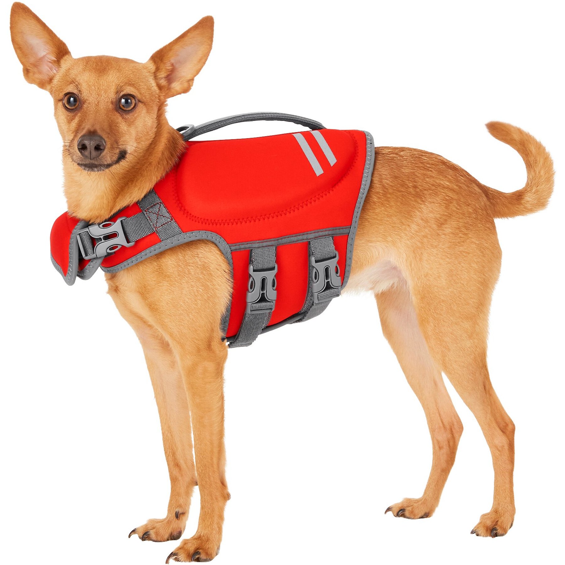 Frisco Neoprene Dog Life Jacket Frisco