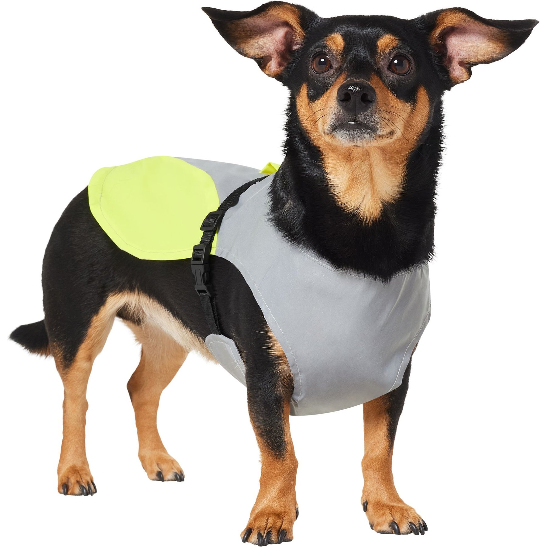 Frisco Reflective Dog Safety Vest Frisco