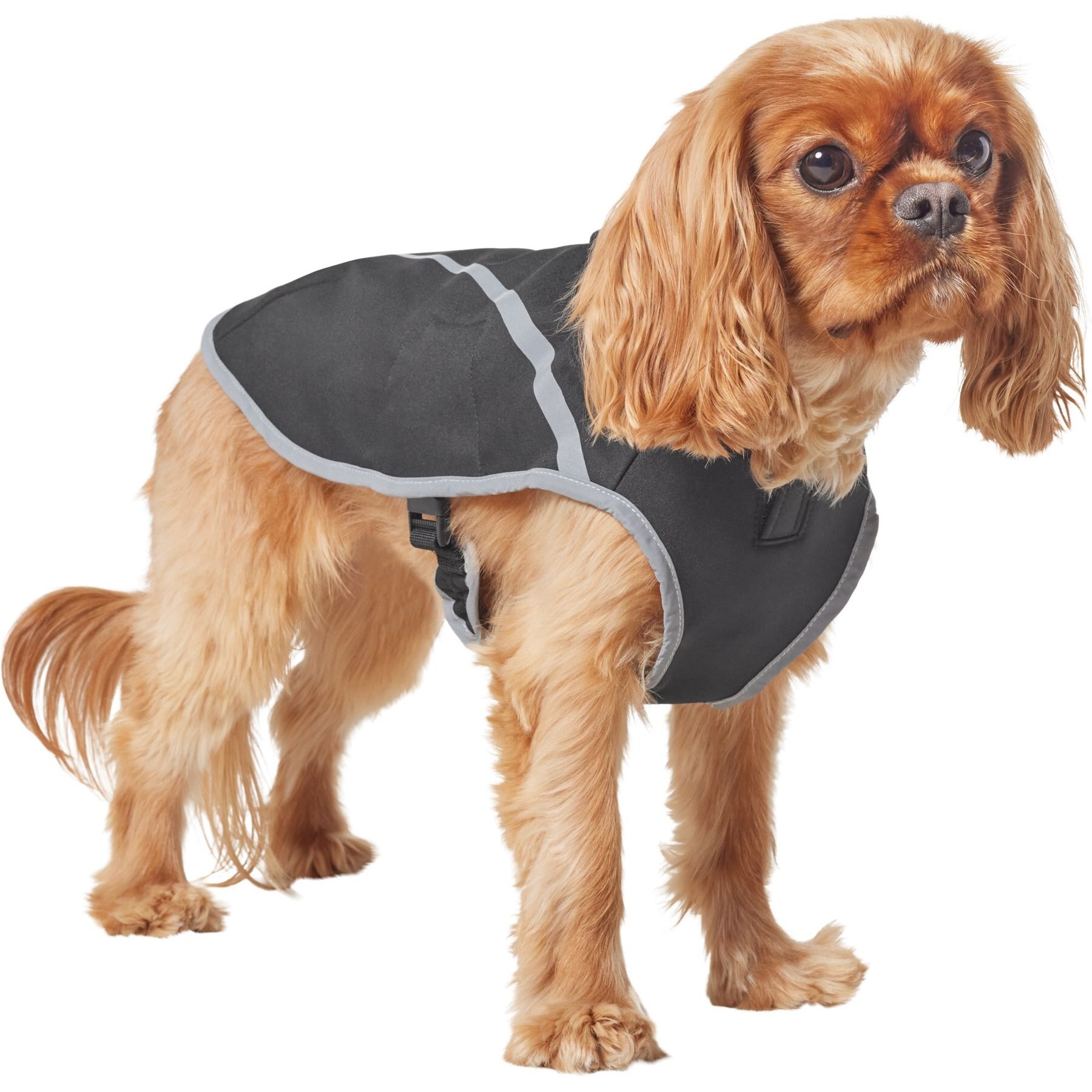 Frisco Bonded Wind & Water Resistant Dog Vest Frisco