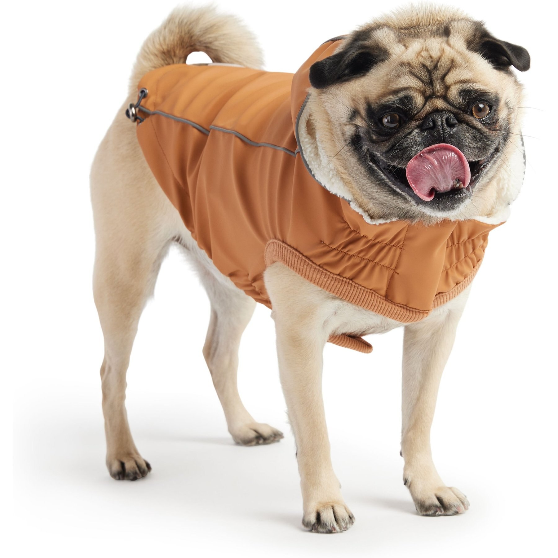 GF Pet Insulated Dog Raincoat GF Pet