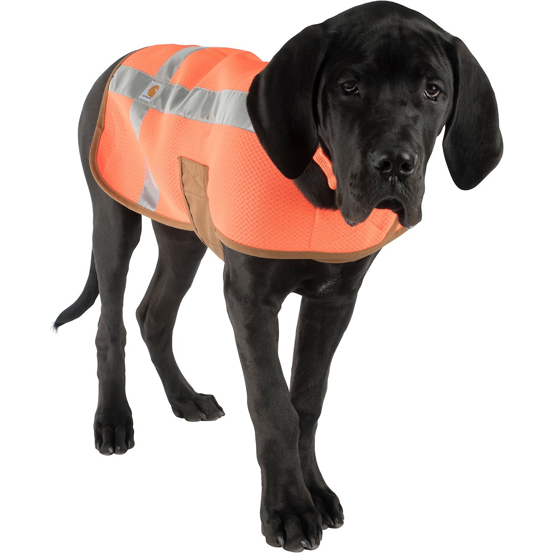 Carhartt Dog Safety Vest, Orange/Brown Carhartt