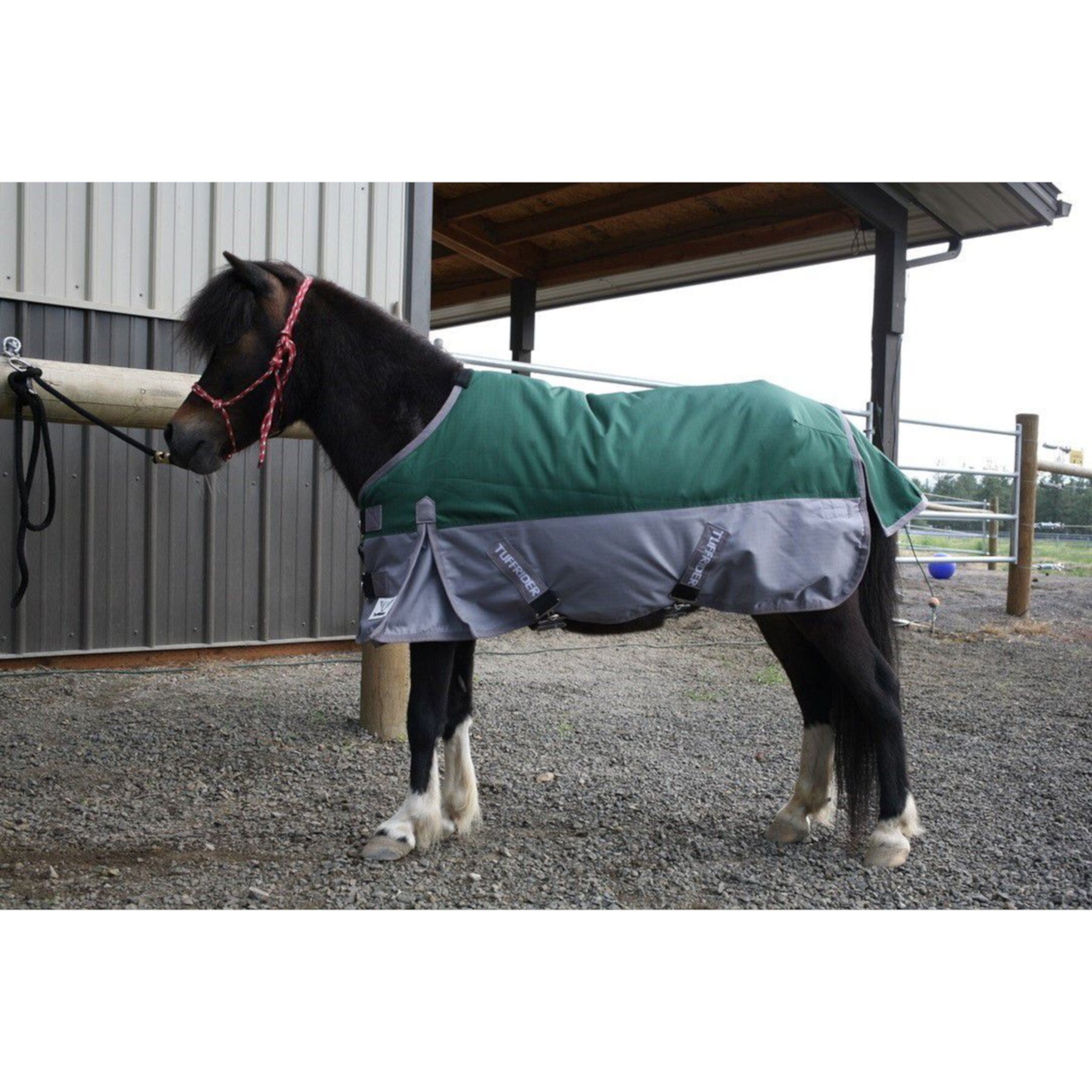 TuffRider Mini 1200D Ripstop Medium Weight 200G Two Tone Standard Neck Turnout Horse Blanket TuffRider