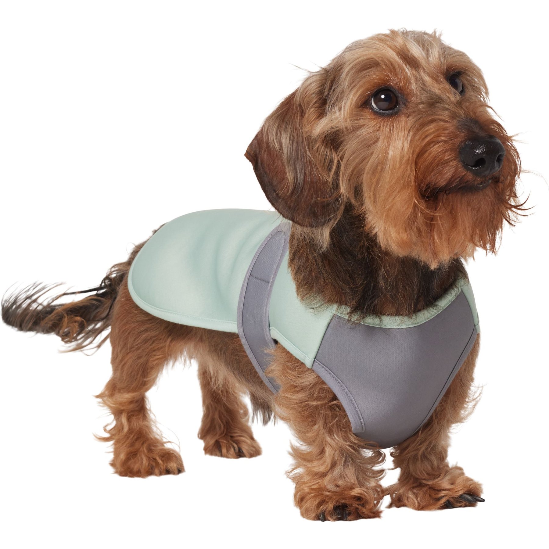 Frisco Watercolor UPF 45 Cooling Dog Vest Frisco