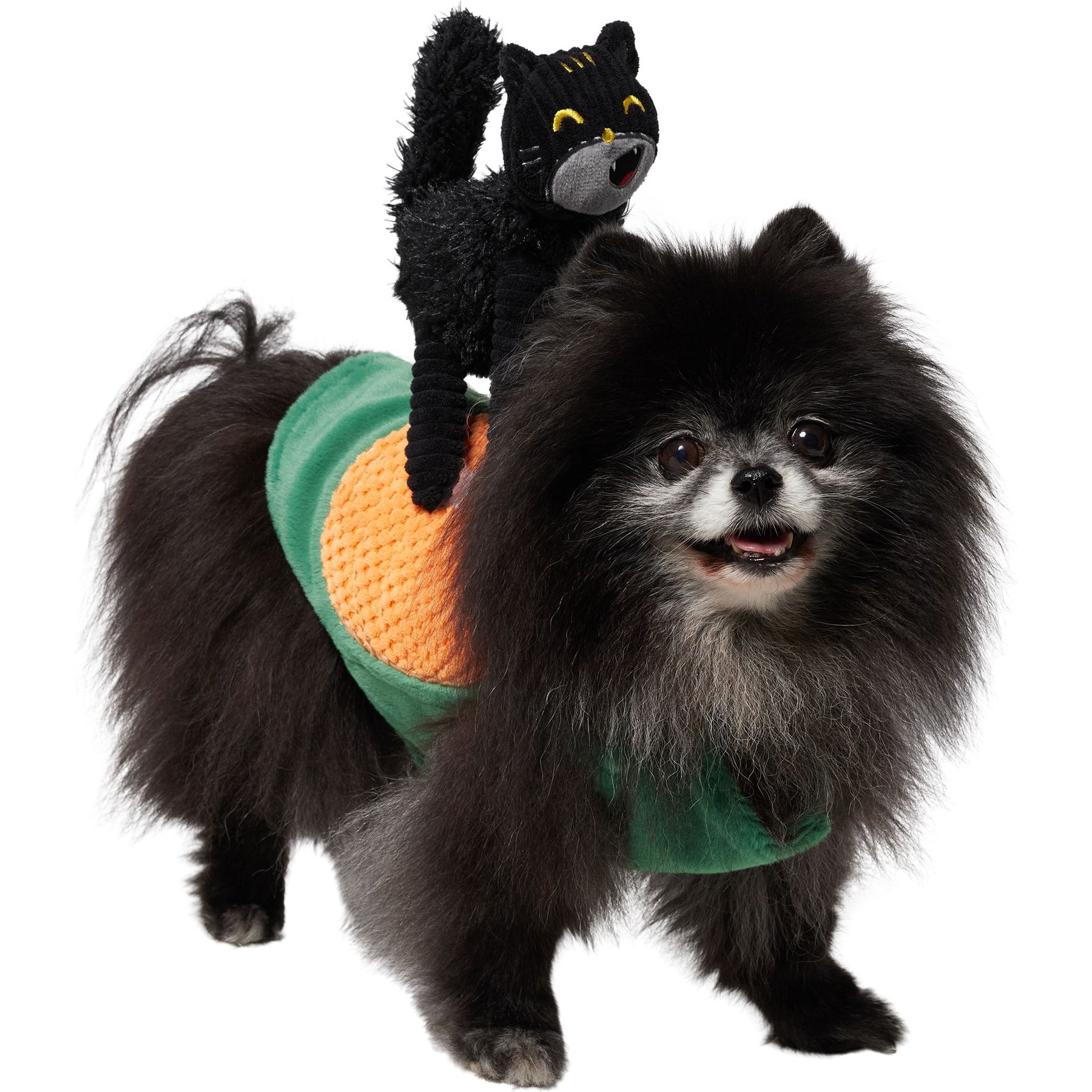 Frisco Pumpkin Cat Ride-On Dog & Cat Costume Frisco