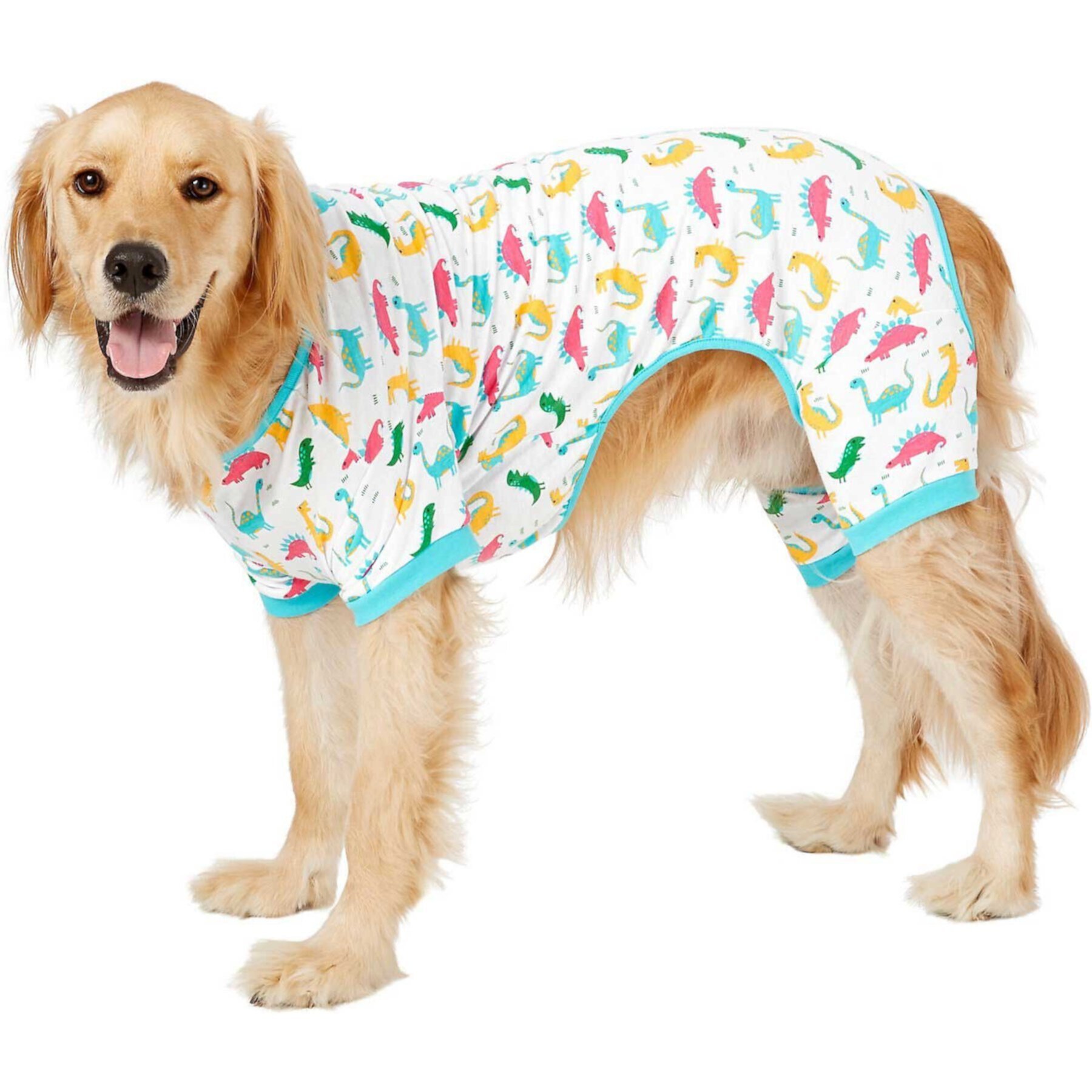 Frisco Dinosaur Print Dog & Cat Jersey PJs Frisco