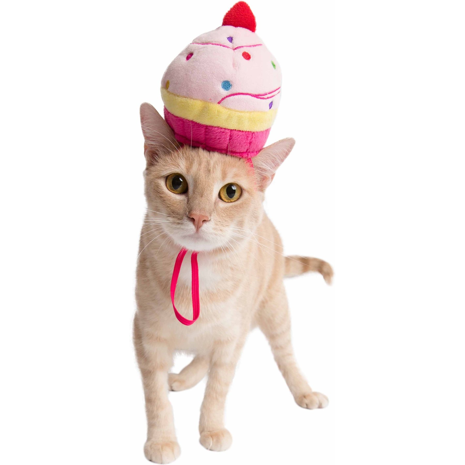 Pet Krewe Cupcake Hat Dog Costume Pet Krewe