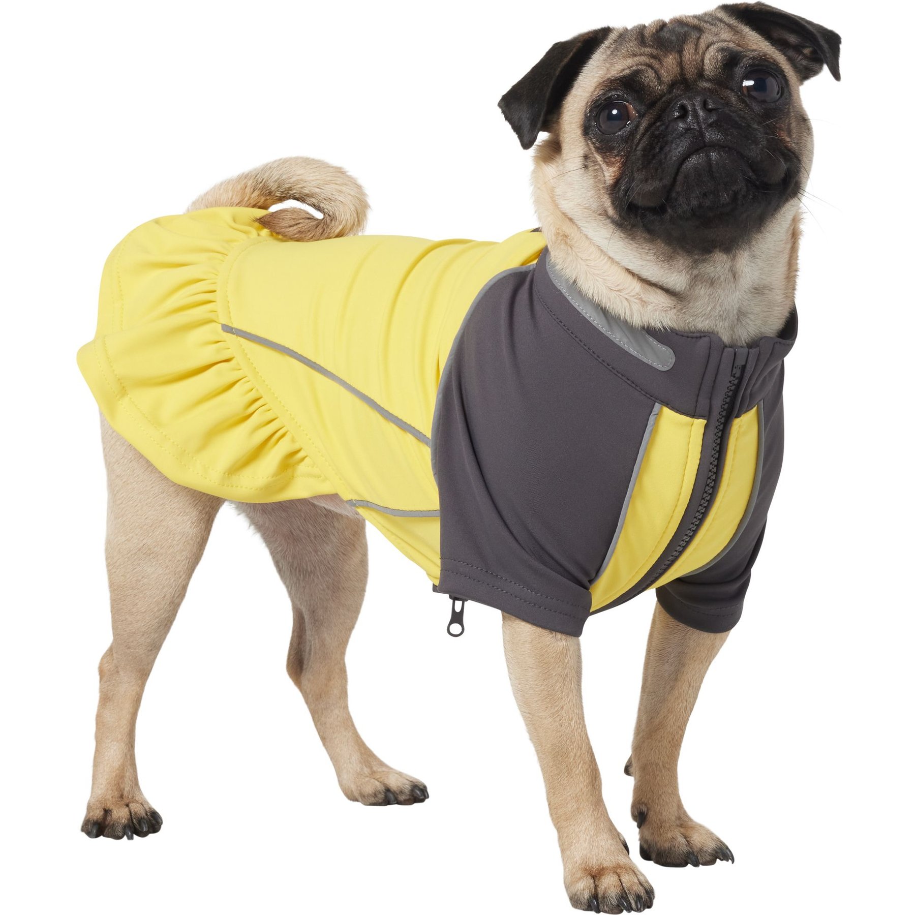 Frisco UPF 50+ Ruffle Dog & Cat Scuba Dress Frisco