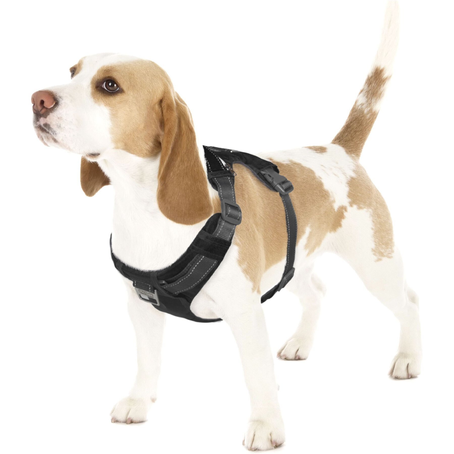 Outward Hound Boulder Adventure Adjustable w/Pockets Dog Harness Outward Hound