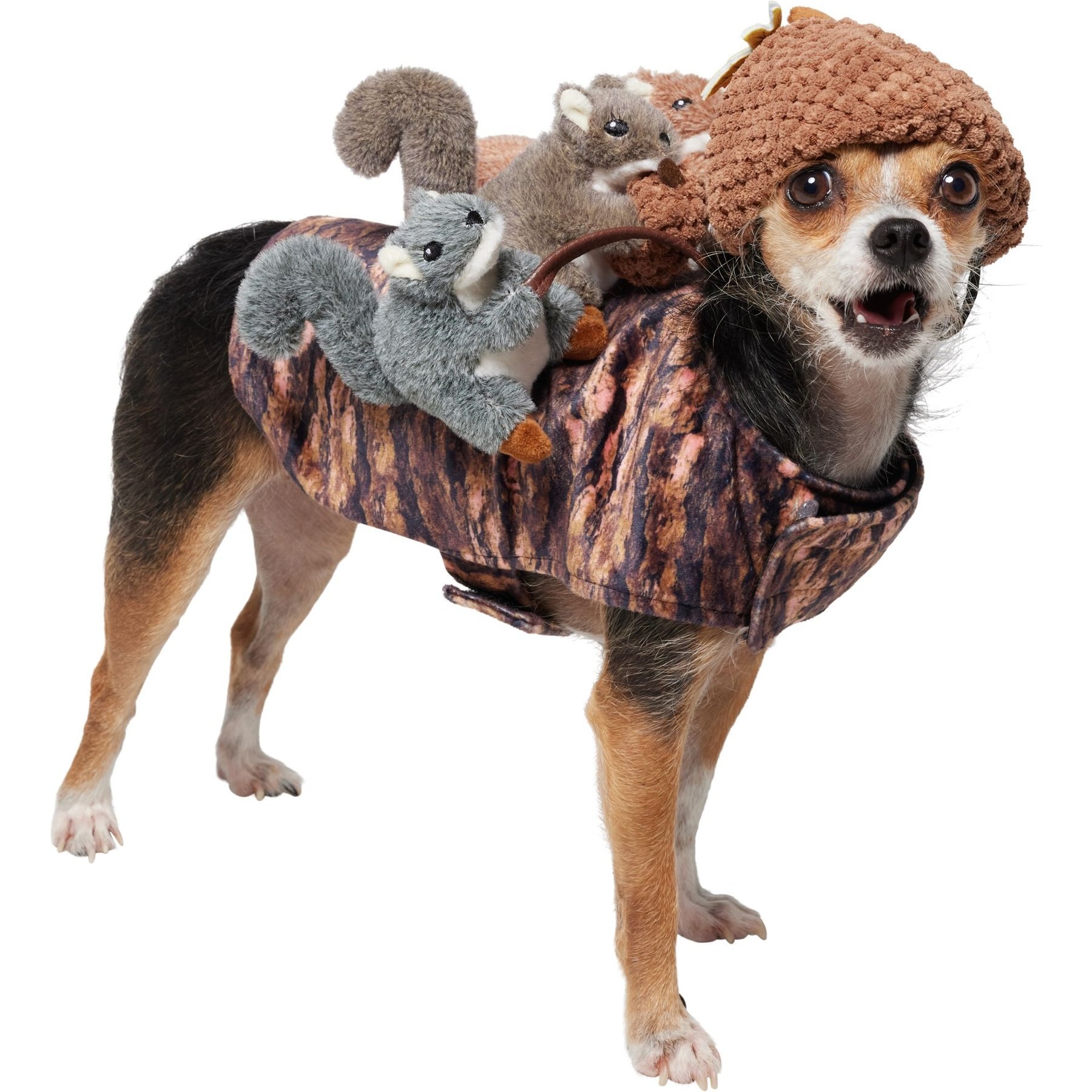 Frisco Squirrels & Nuts Ride-On Dog & Cat Costume Frisco