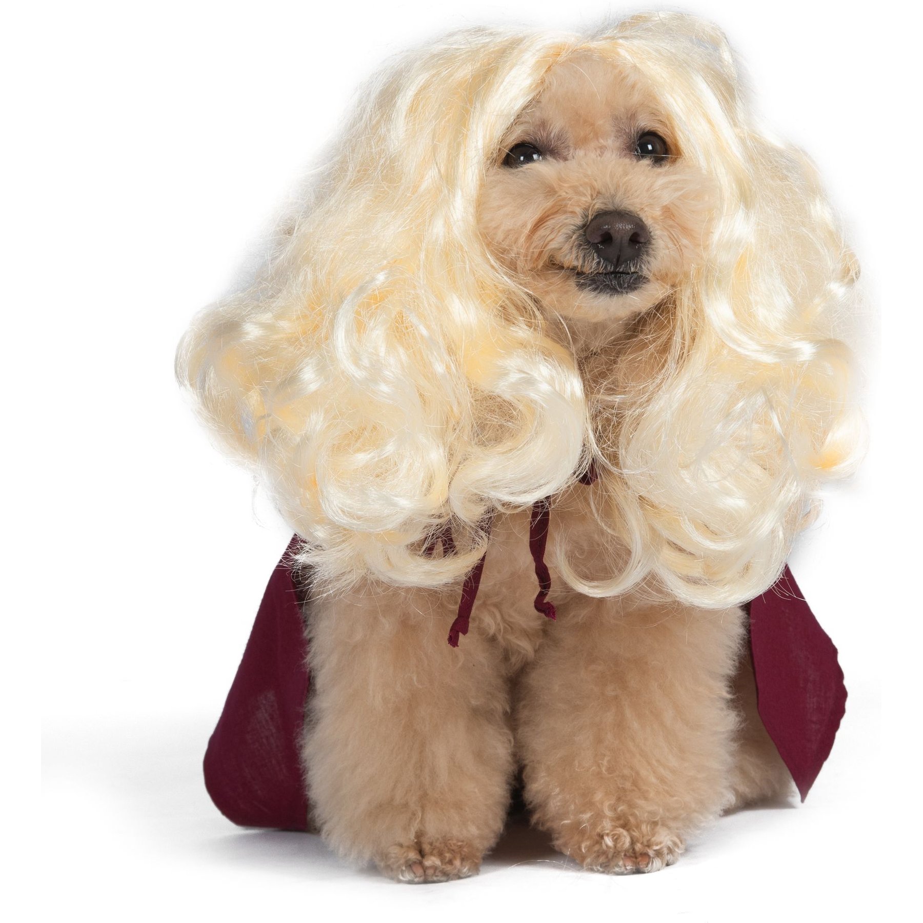 Disney Hocus Pocus Halloween Sarah Sanderson Cape & Pet Wig Dog Costume with PVC Bag & Insert Card Disney