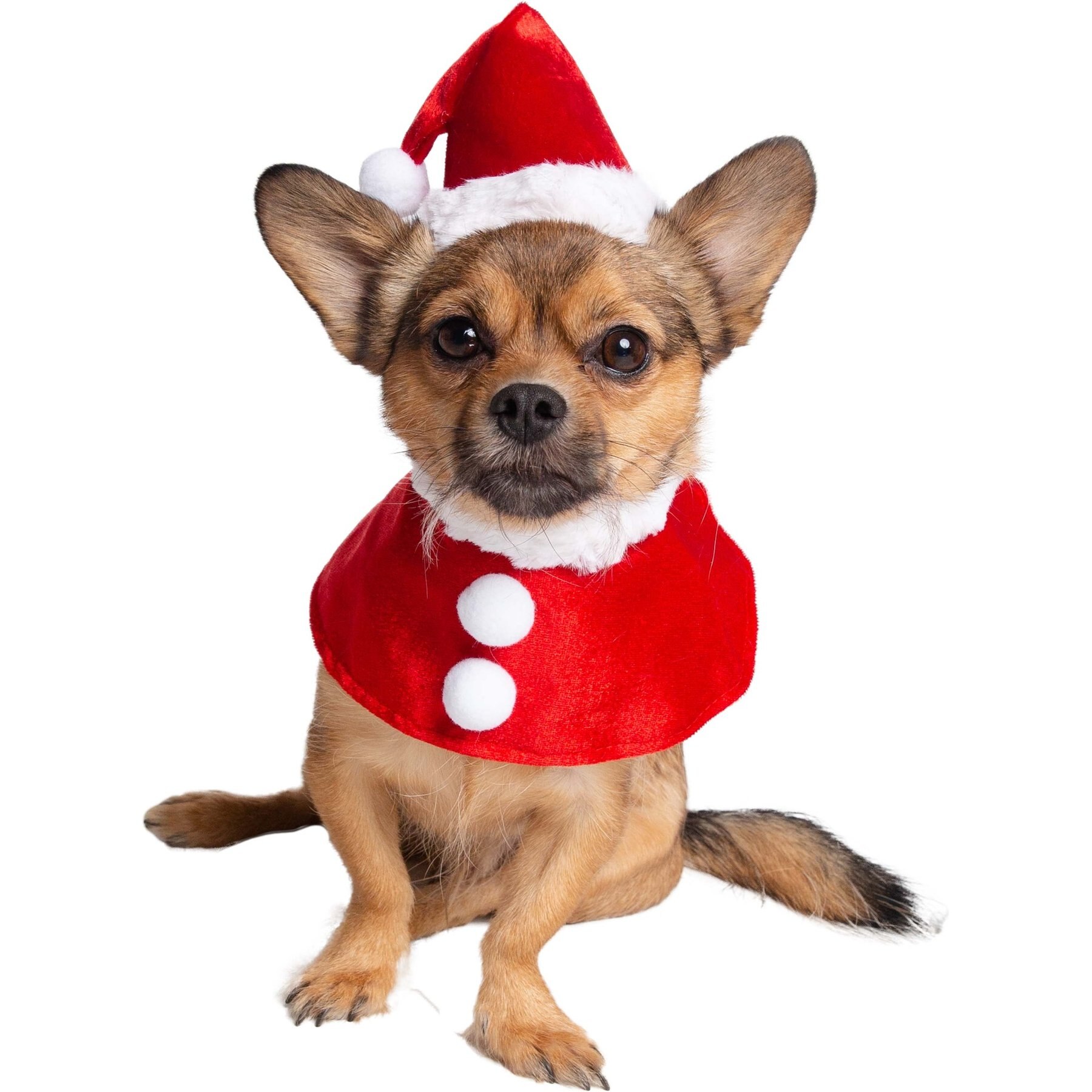 Pet Krewe Santa Hat & Collar Set Dog Costume Pet Krewe