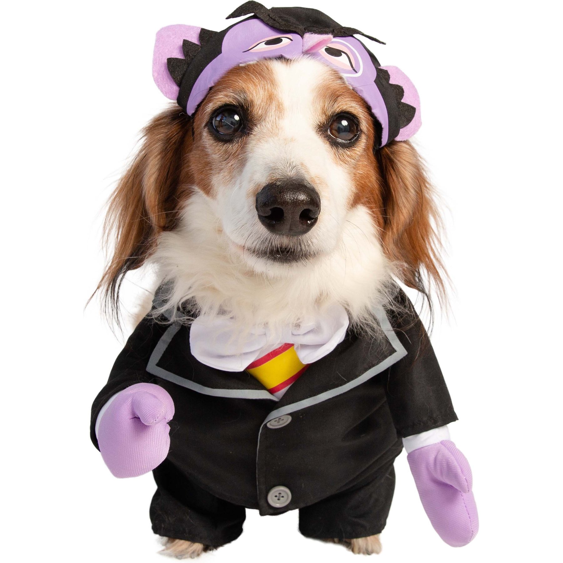 Pet Krewe Sesame Street the count Dog Costume Pet Krewe