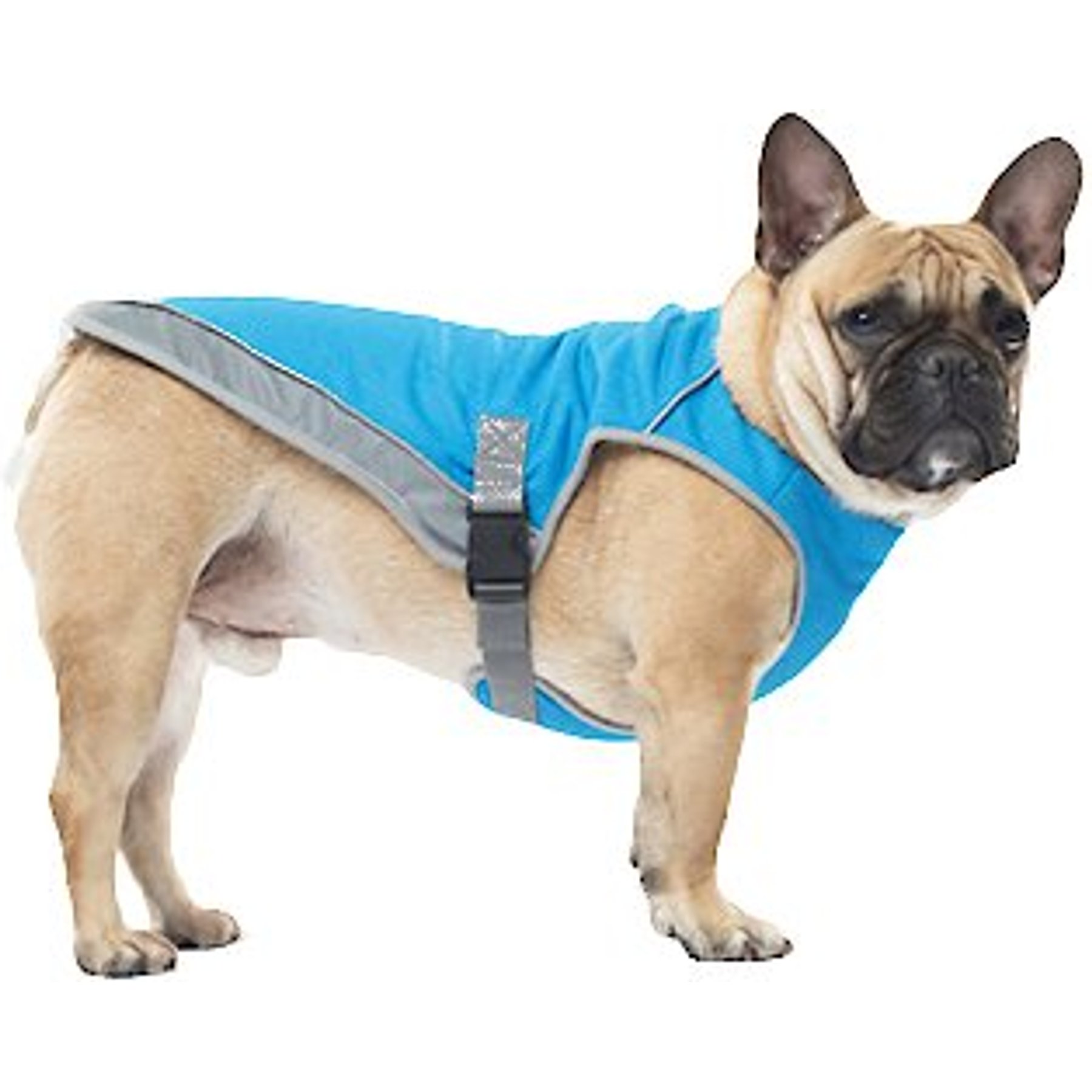 Canada Pooch Cooling Dog Vest Canada Pooch