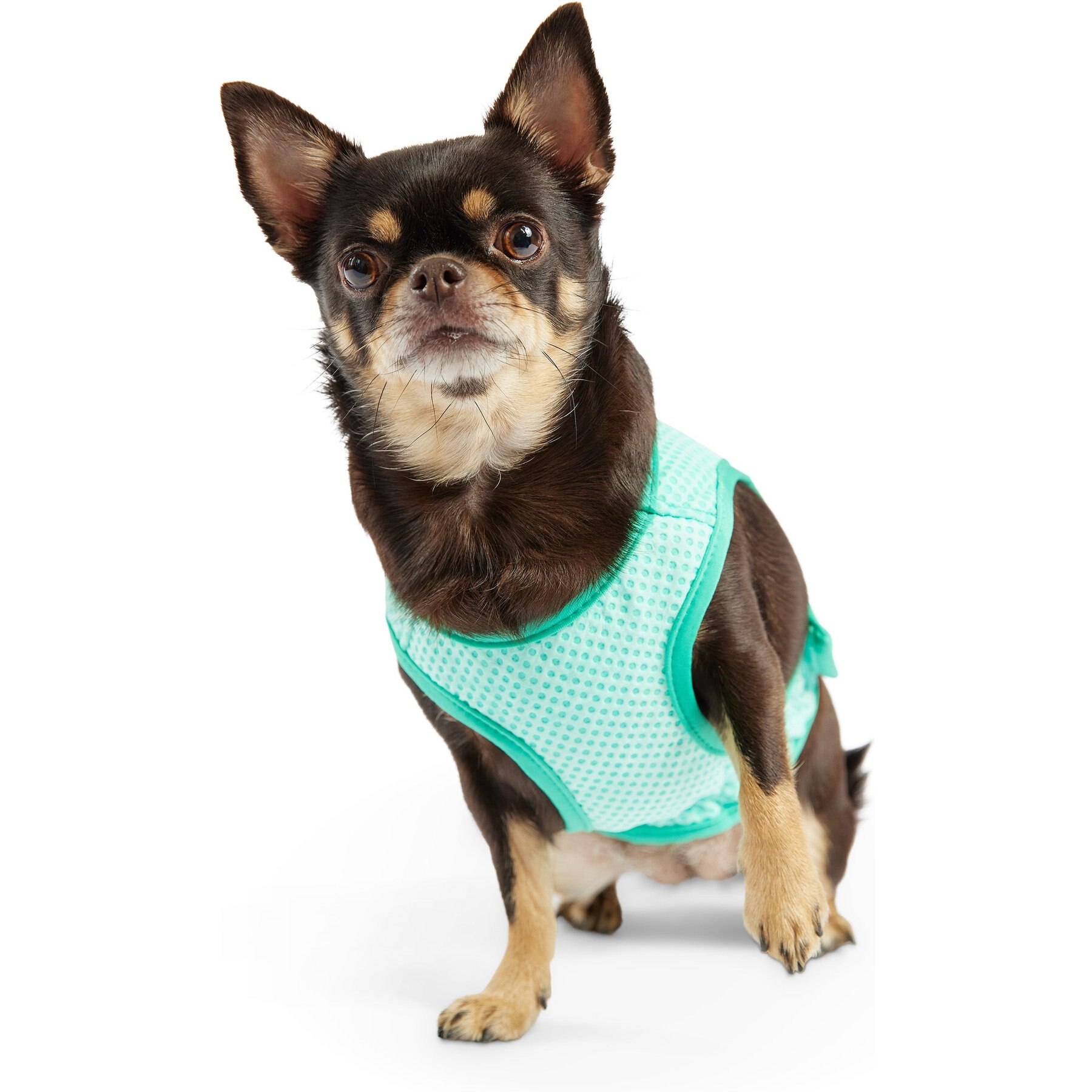 GF Pet Elastofit Dog Ice Vest, Aqua GF Pet