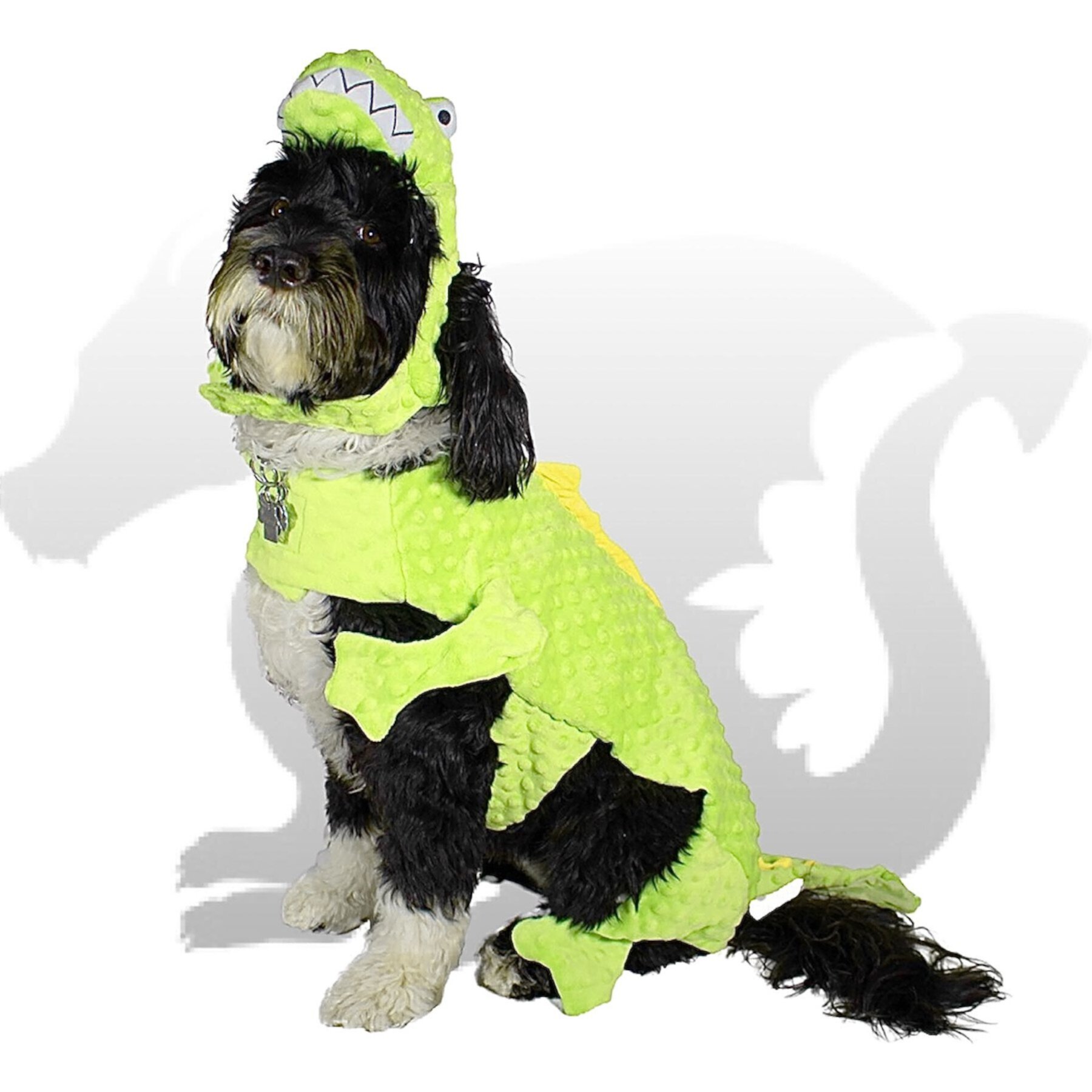 Royal Animals Dragon Dog Costume Royal Animals