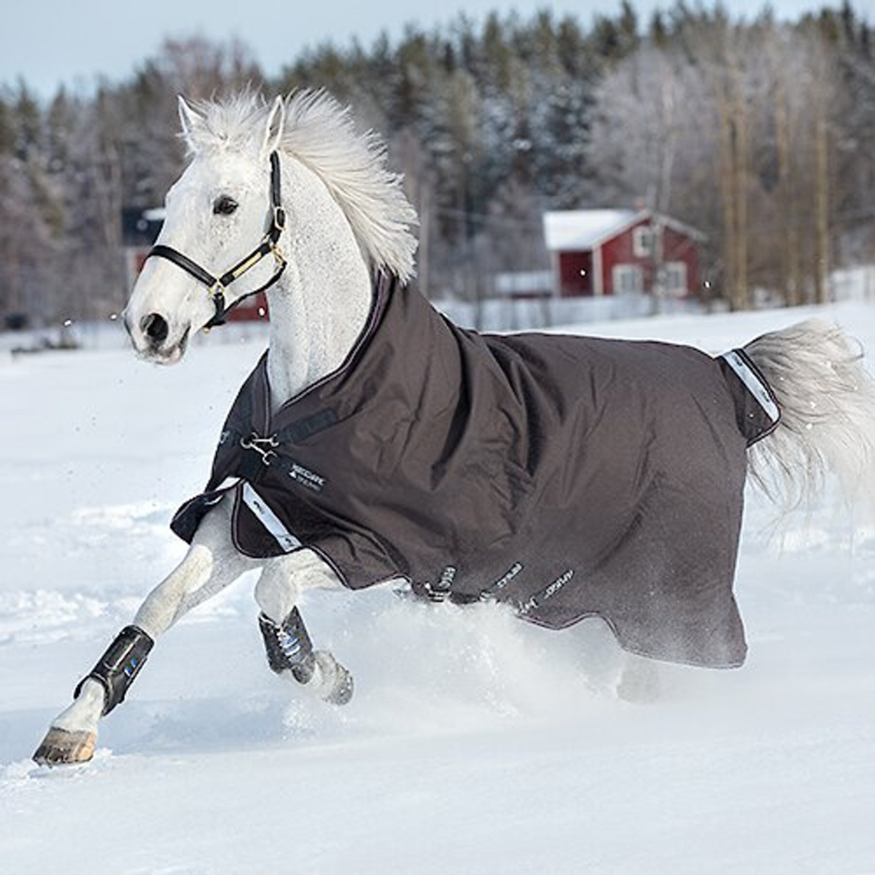 Amigo Bravo 12 Wug Med Horse Blanket Horseware Ireland