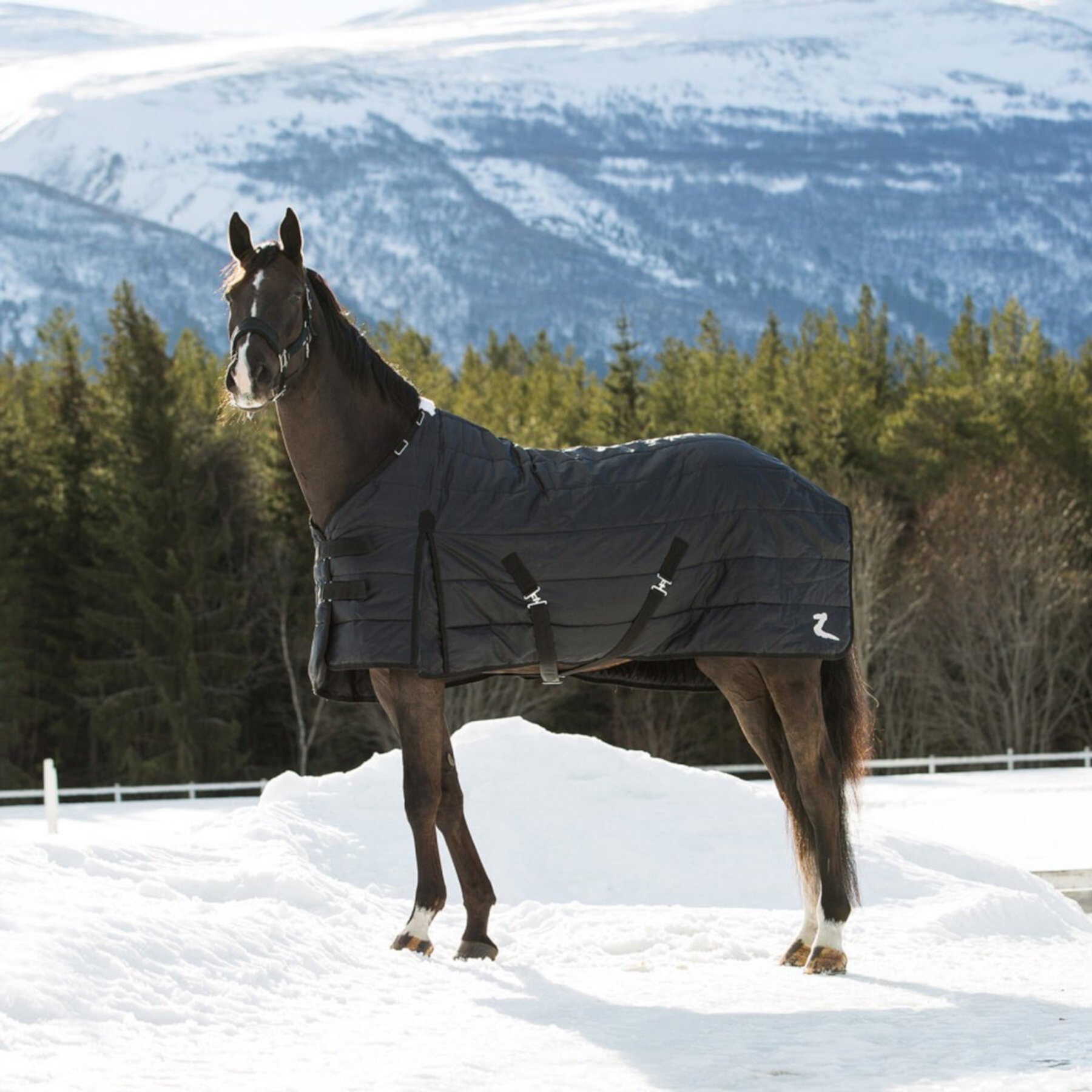 Horze Nevada Lightweight 100-g Horse Stable Blanket, Black Horze