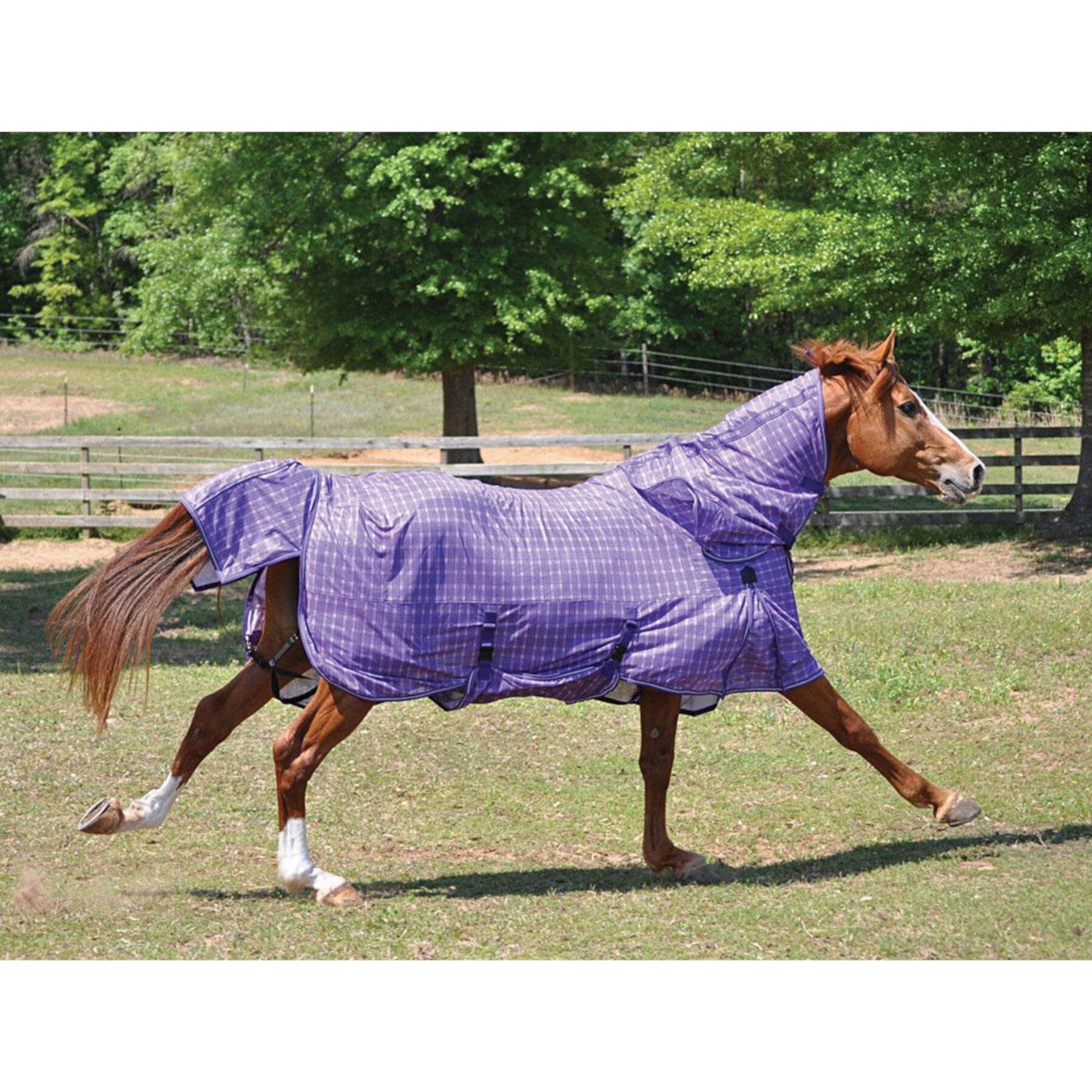 TuffRider Power Mesh Detachable Neck Horse Fly Sheet, 87-in TuffRider