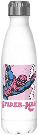 Marvel Spidey Comic 17 oz Stainless Steel Water Bottle, 17 Ounce, Multicolored Marvel