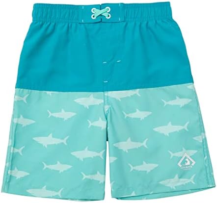 Rokka&Rolla Boys‘ Swim Trunks Toddler Quick Dry UPF 50+ Beach Shorts Little Kids Bathing Suit Swimwear (2T-5T) Rokka&Rolla