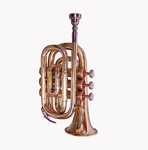 BB POCKET TRUMPET IN BRASS FINISH STUDENT TRUMPET PRACTICE MUTE FOR BEGINNERS & ADVANCED LEVEL WITH CARRYING HARD CASE & MOUTHPIECE GOLD Queen Brass