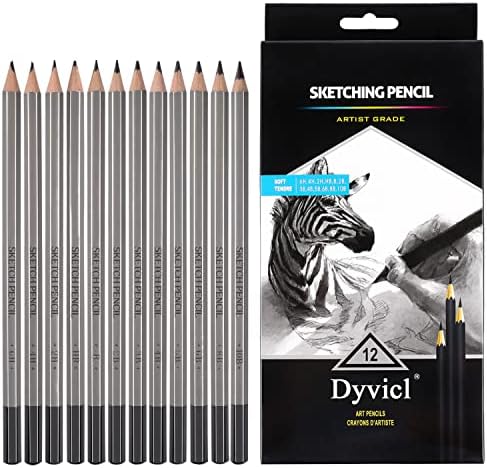 Dyvicl Professional Drawing Sketching Pencil Set - 12 Pieces Drawing Pencils 10B, 8B, 6B, 5B, 4B, 3B, 2B, B, HB, 2H, 4H, 6H Graphite Pencils for Beginners & Pro Artists Dyvicl