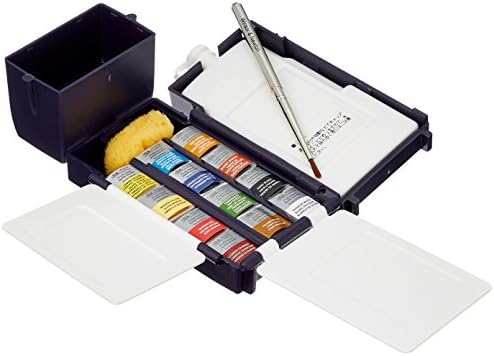 Winsor & Newton Professional Watercolor Paint Set, Black Box Set, 12 Half Pan Winsor & Newton