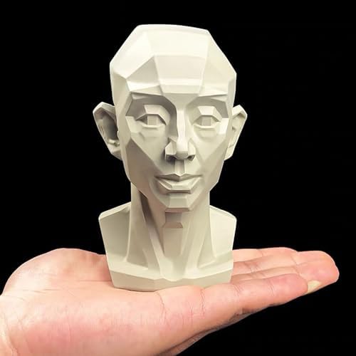 Generic Planar Head Model for Artists Learn Planes of Face, Human Manikin Head for Medical and Artistic Drawing Skecthing Painting, Color White (Large) Generic