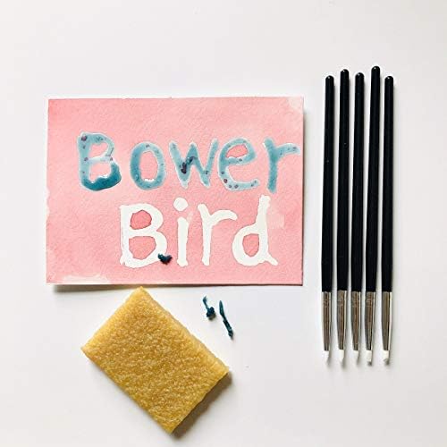 Bower Bird 5 Pcs Silicone Pen Glue Residue Eraser Set for Watercolor Leave Blank to Block | Art Ruling Pen for Clay Sculpting, Fondant Carving and More，Adhesive Remove Eraser Rubber Cleaning Block Bower Bird