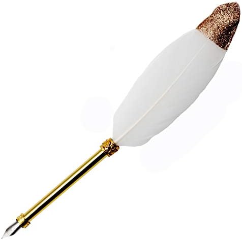 Gullor Vintage Feather Quill Pen, Nature Feather Dip Pen with Gift Box, Black & Brown Gullor