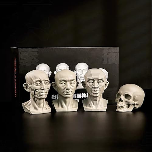 Generic Artists Head Models Mannequin Set, 4 Pieces, Includes Muscle Head, Skull Head, Planar Head & Original Head - Skecthing Drawing Reference (Female) Generic