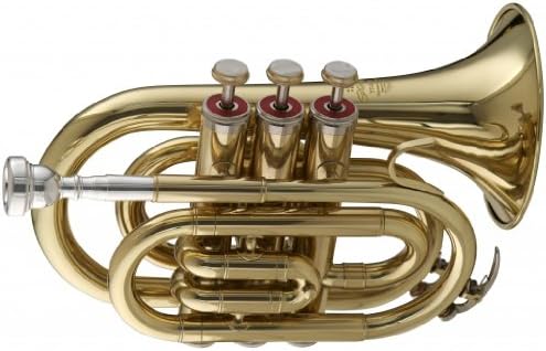 Stagg WS - TR245 Bb Pocket Trumpet with Case 6.00 x 3.00 x 8.00 inches Stagg