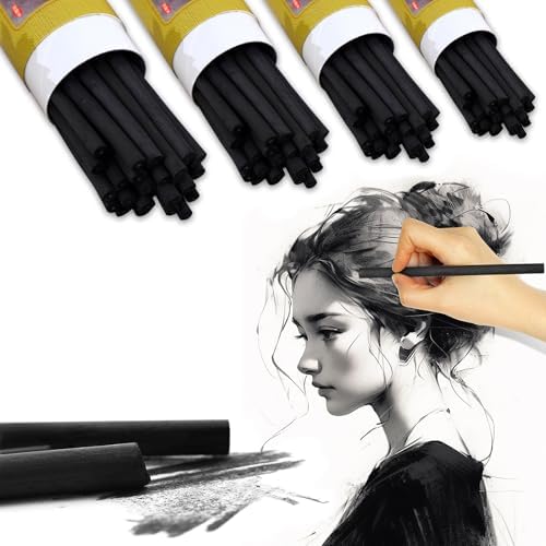 100 Pcs Charcoal Pencils,Vine Charcoal,Black Artist Vine Charcoal Willow Charcoal Sticks The Art of Drawing and Painting for Artists, Beginners, and Students(2-4mm,4-5mm,5-7mm,7-9mm) Cryptolux