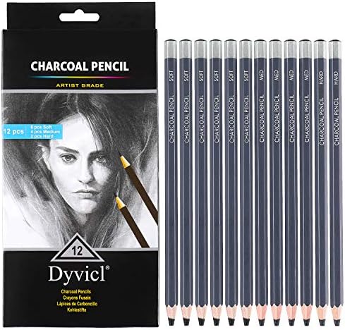 Dyvicl Professional Charcoal Pencils Drawing Set - 12 Pieces Soft, Medium & Hard Charcoal Pencils for Drawing, Sketching, Shading, Artist Pencils for Beginners & Artists Dyvicl