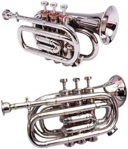 Bb Pocket Cornet for Beiginners with 7C Mouthpiece & Hard Carrying Case in Silver Chrome Finish, Trumpet Student Gift for Thanksgiving, Christmas, Easter (Silver) Queen Brass