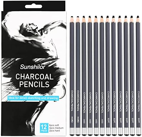 Sunshilor Professional Charcoal Pencils Drawing Set, 12 Pieces Soft Medium Hard Charcoal Pencils for Drawing, Sketching, Shading, Artist Pencils for Beginners & Artists Sunshilor