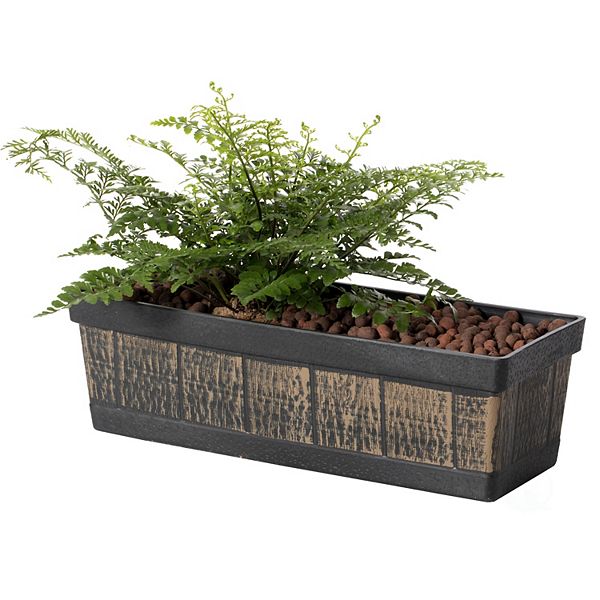 Outdoor and Indoor Rectangle Trough Plastic Planter Box, Vegetables or Flower Planting Pot Gardenised