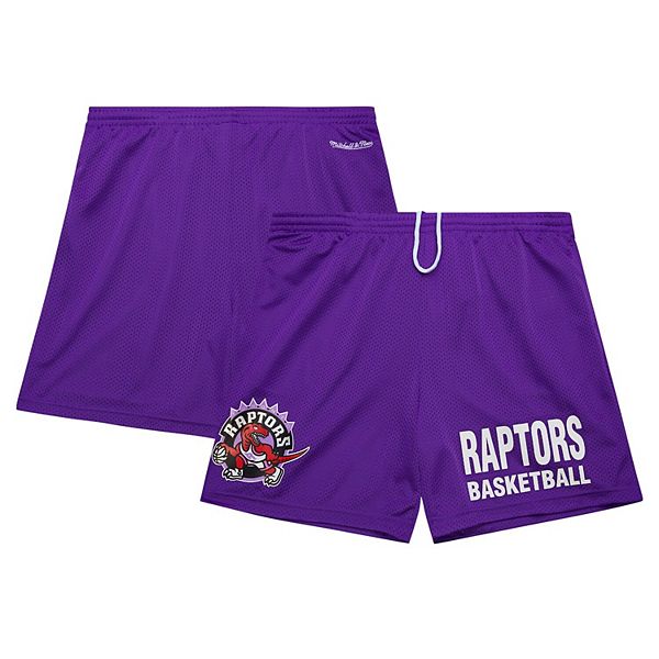 Men's Mitchell & Ness Purple Toronto Raptors Hardwood Classics Gameday Mesh Shorts Mitchell & Ness