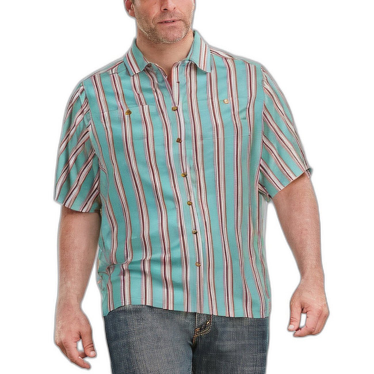 Men's Big & Tall Striped Short-Sleeve Sport Shirt KingSize