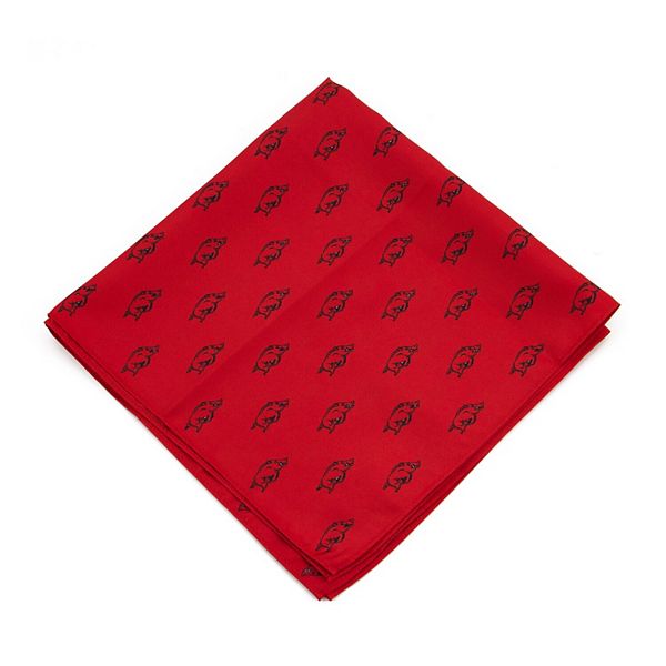 Arkansas Razorbacks Kerchief Pocket Square Unbranded