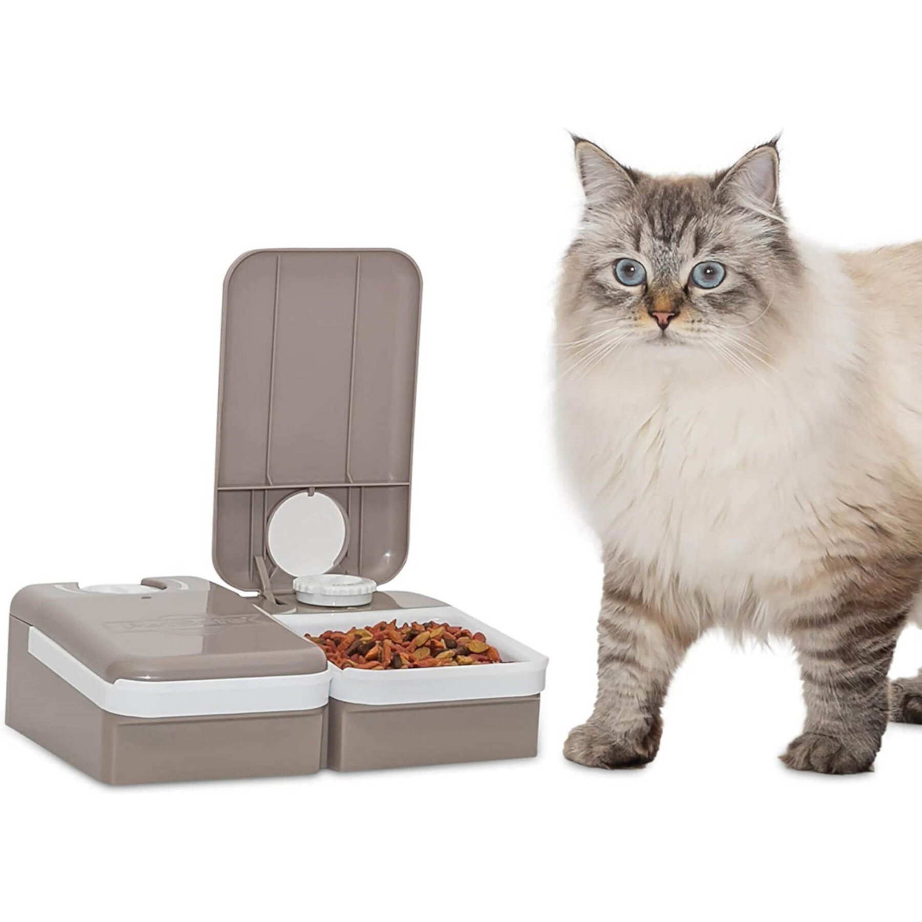 PetSafe Eatwell 2-Meal Automatic Dog & Cat Feeder PetSafe